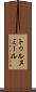 トゥルヌミール Scroll