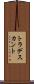 トラデスカント Scroll