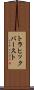 トラヒック・バースト Scroll