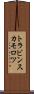 トラビンスカモロツ Scroll