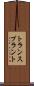 トランスプラント Scroll