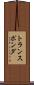 トランスポンダ Scroll