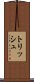 トリッシュ Scroll