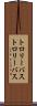 トロリーバス Scroll