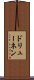 ドリューネン Scroll