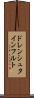 ドレンシュタインフルト Scroll
