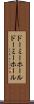 ドーミーホール Scroll