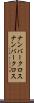 ナンバークロス Scroll
