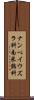 ナンベイウズラ科 Scroll
