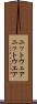 ニットウェア Scroll