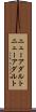 ニューアダルト Scroll