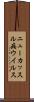 ニューカッスル病ウイルス Scroll