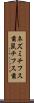 ネズミチフス菌 Scroll