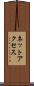 ネットアクセス Scroll