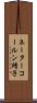 ネーターコールン靖子 Scroll