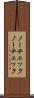ノーチェック Scroll