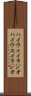 ハイウェイラジオ Scroll