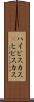 ハイビスカス(P) Scroll