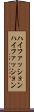ハイファッション Scroll