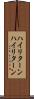ハイリターン Scroll