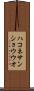 ハコネサンショウウオ Scroll