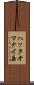 ハッタオマナイ岳 Scroll