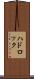 ハドロック Scroll
