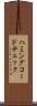 ハミングコードチェック Scroll