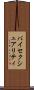 バイセクシュアリティ Scroll