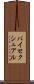 バイセクシュアル Scroll