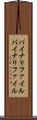 バイナリファイル Scroll