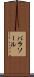 バラソール Scroll