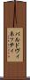 バルドヴィネッティ Scroll
