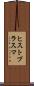 ヒストプラスマ Scroll