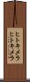 ヒトキメラ Scroll