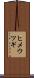 ヒメウツギ Scroll