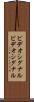 ビデオシグナル Scroll
