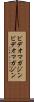 ビデオマガジン Scroll