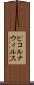 ピコルナウィルス Scroll