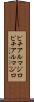 ピチアルマジロ Scroll