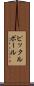 ピックルボール Scroll
