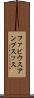 ファビウスアンブスッス Scroll