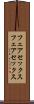 フェアセックス Scroll