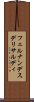 フェルナンデスデリサルディ Scroll