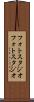 フォトスタジオ Scroll