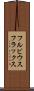 フルビウスフラックス Scroll