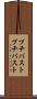 プチバスト Scroll