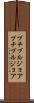 プチブルジョア Scroll