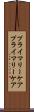 プライマリーケア Scroll