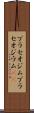 プラセオジム Scroll